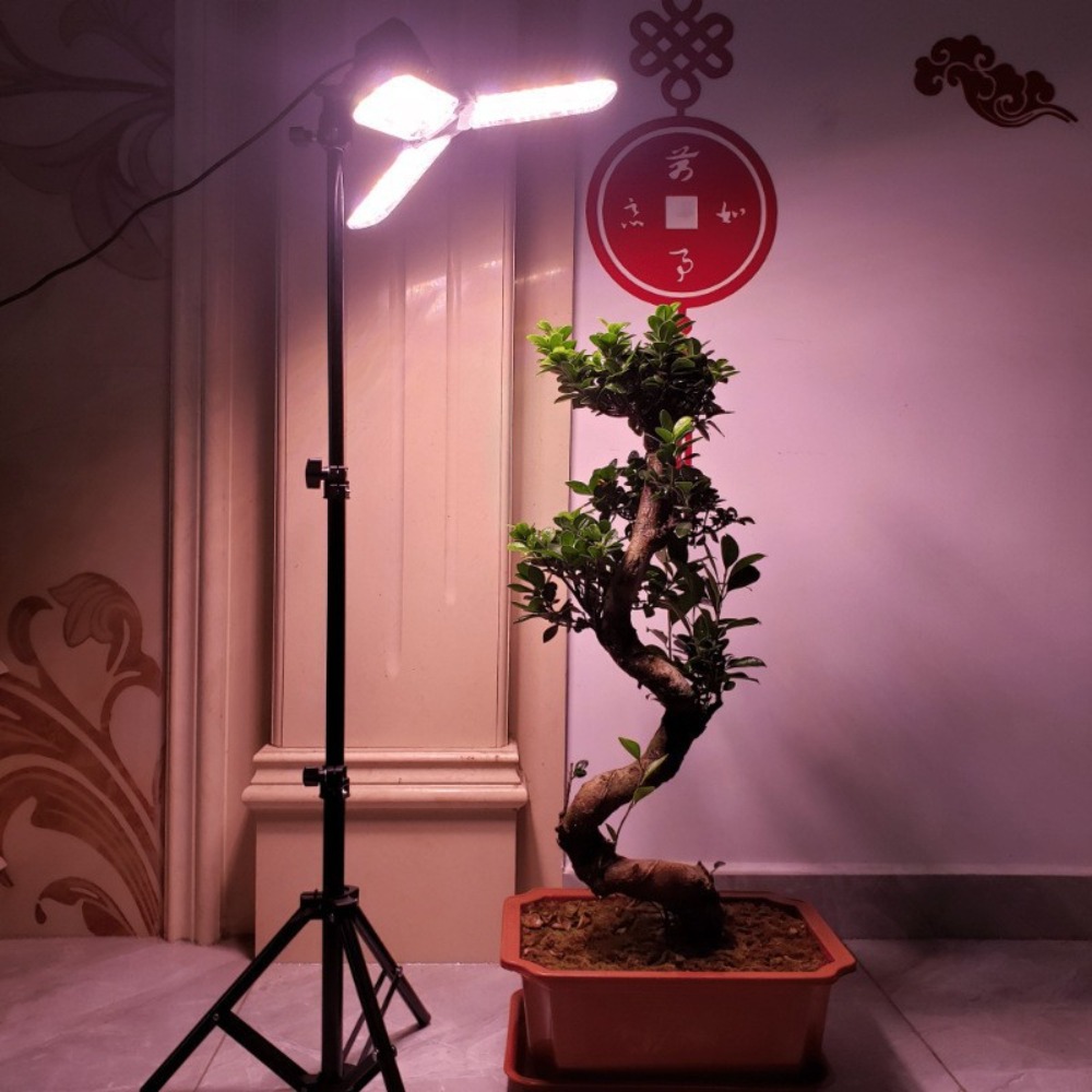حامل لمبة الضوء 2 متر، مقبس تي - مراجعة Photography Lighting With Umbrella وسعره